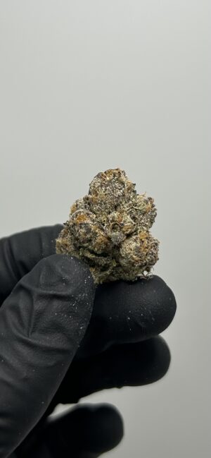 GY KANDY KUSH