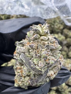 Gelato King