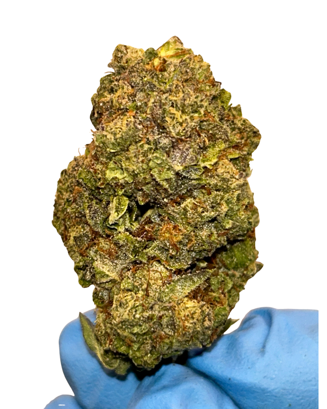 Gelato